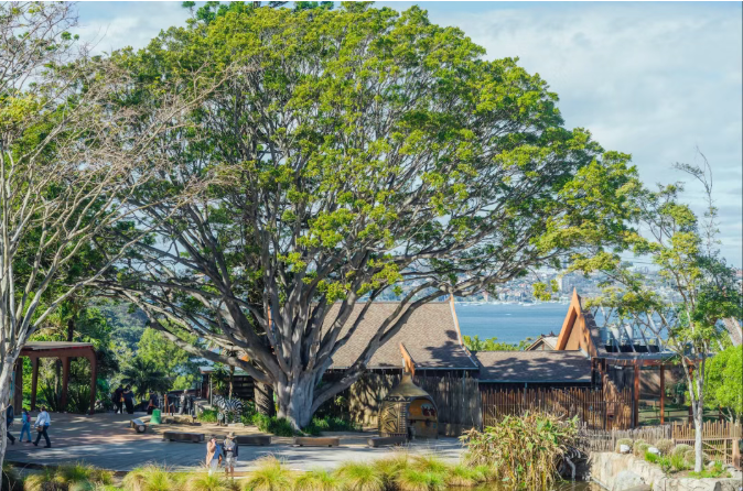 202512111521-7930457282.png image.png