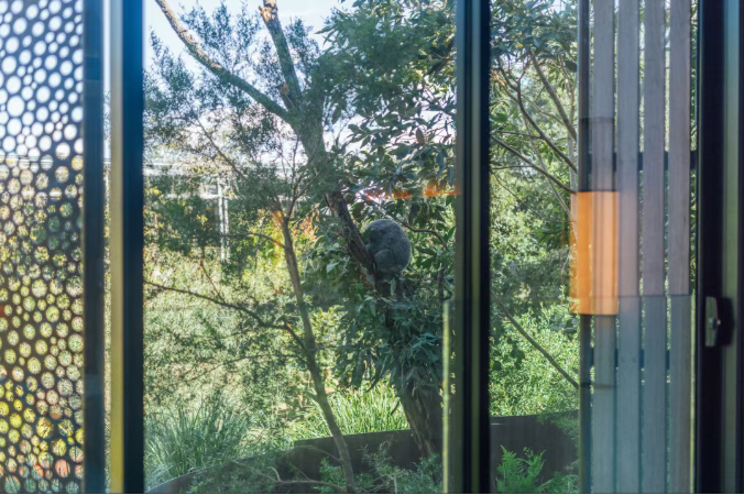 202512111522-4023693405.png image.png