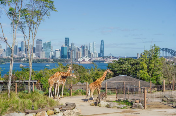 202512111522-8750265046.png image.png