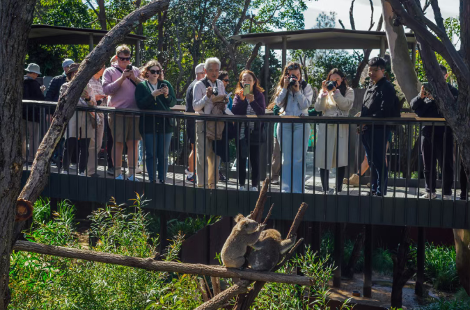 202512111523-2812414364.png image.png