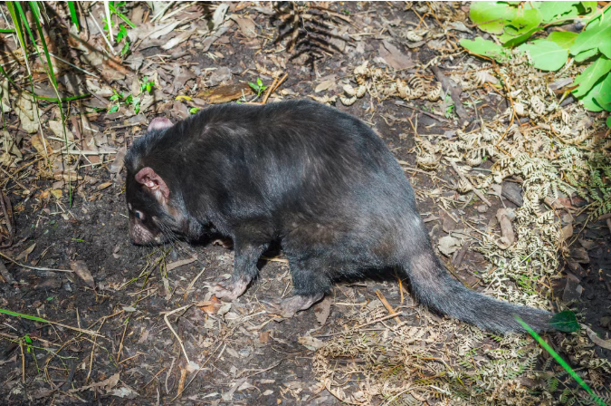 202512111523-7011422645.png image.png