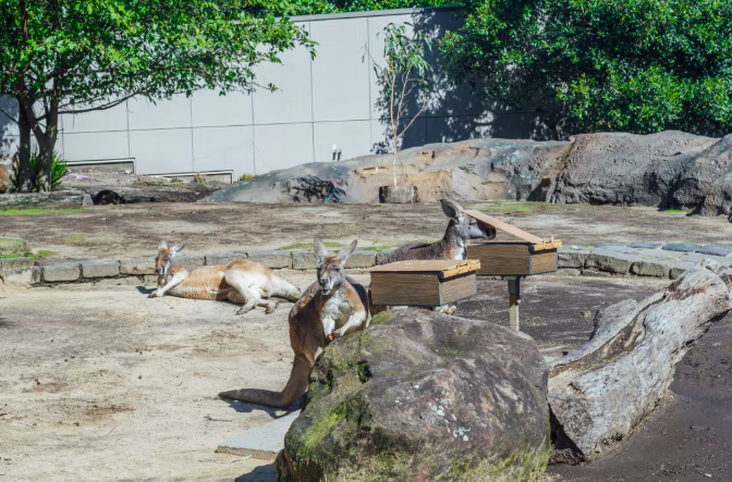 202512111523-9806332917.png image.png