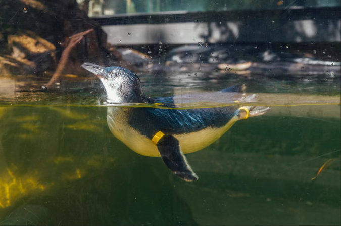 202512111524-6445244726.png image.png