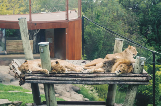 202512111524-8162713157.png image.png