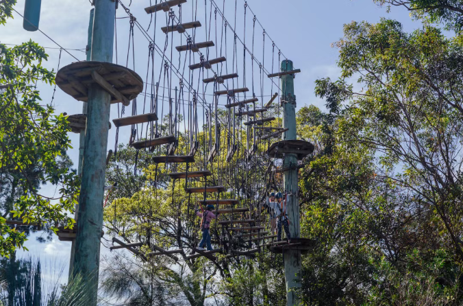 202512111525-3079544954.png image.png