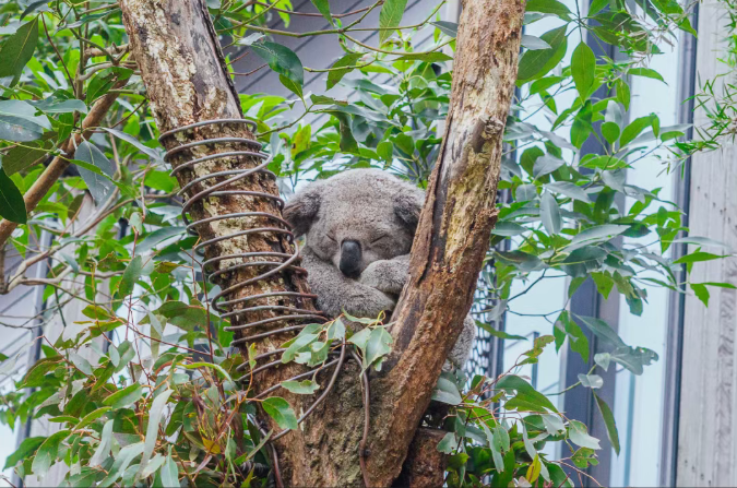 202512111526-3854593793.png image.png