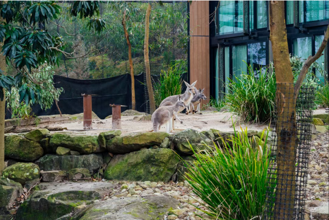 202512111526-4047740931.png image.png