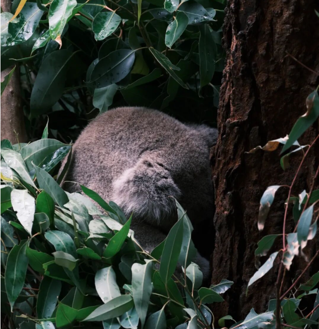 202512111530-7447501643.png image.png