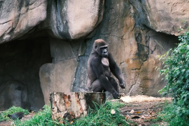 202512111530-7951074748.png image.png