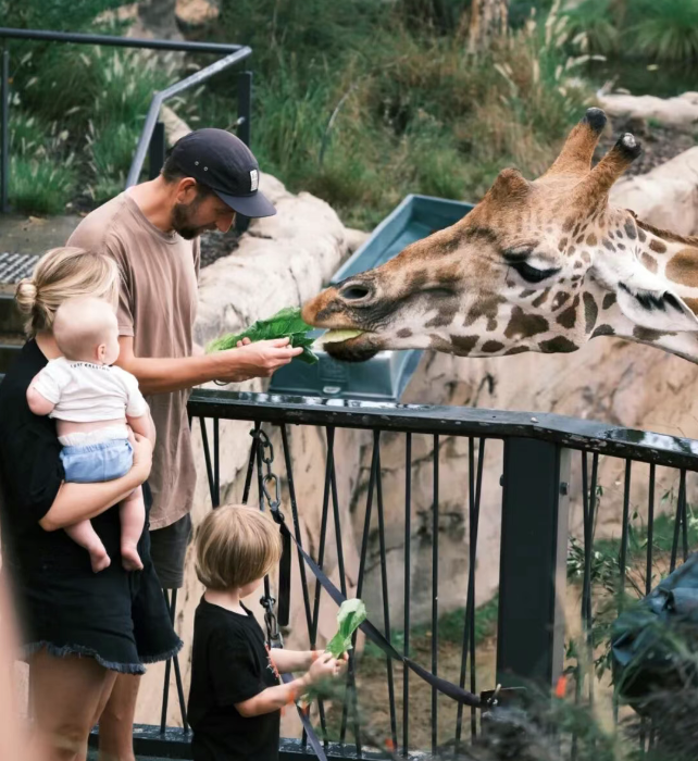 202512111531-6092503623.png image.png