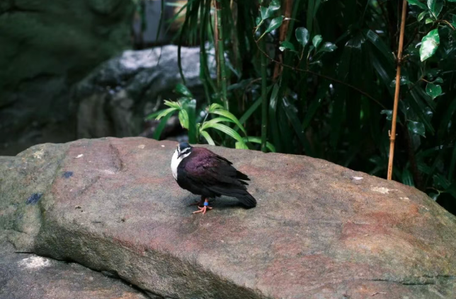 202512111532-4850128088.png image.png