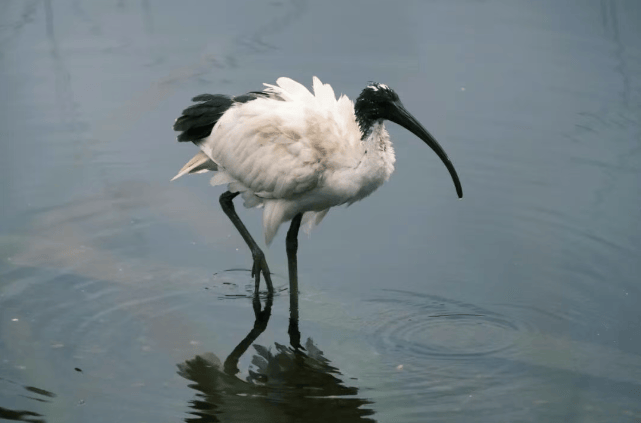 202512111532-9649352019.png image.png