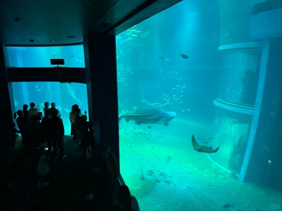 202512111643-5812373716.jpg 930-4.jpg