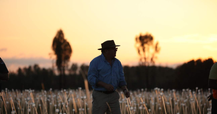 202512120920-2990660415.png image.png