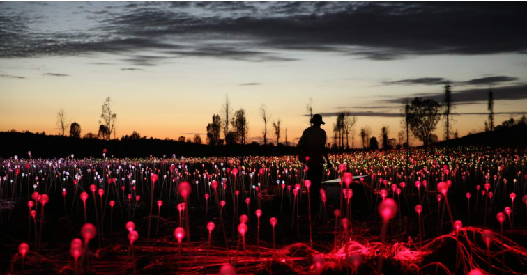 202512120920-8465396363.png image.png