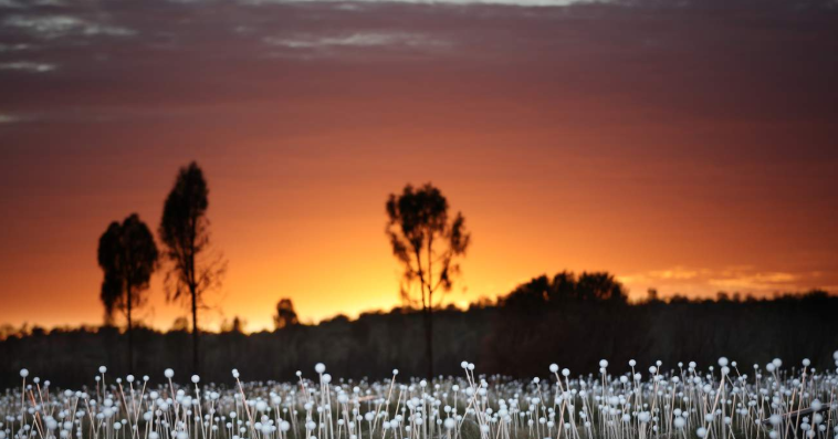 202512120921-7235528150.png image.png