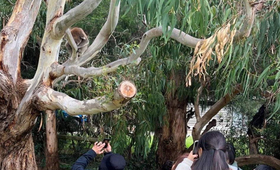 202512120924-3114394118.png image.png