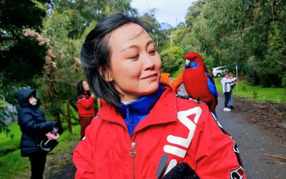 202512120924-5870792199.png image.png