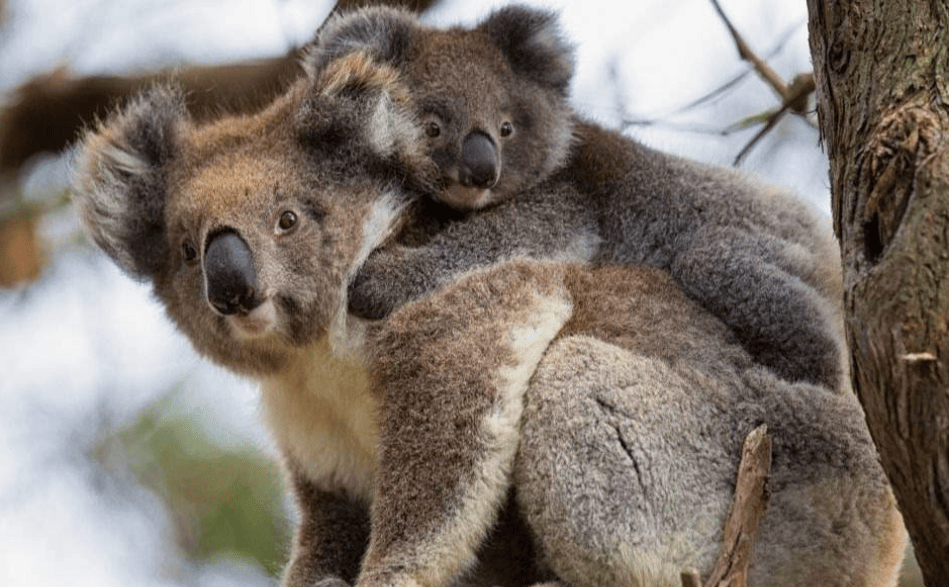 202512120924-9488155976.png image.png