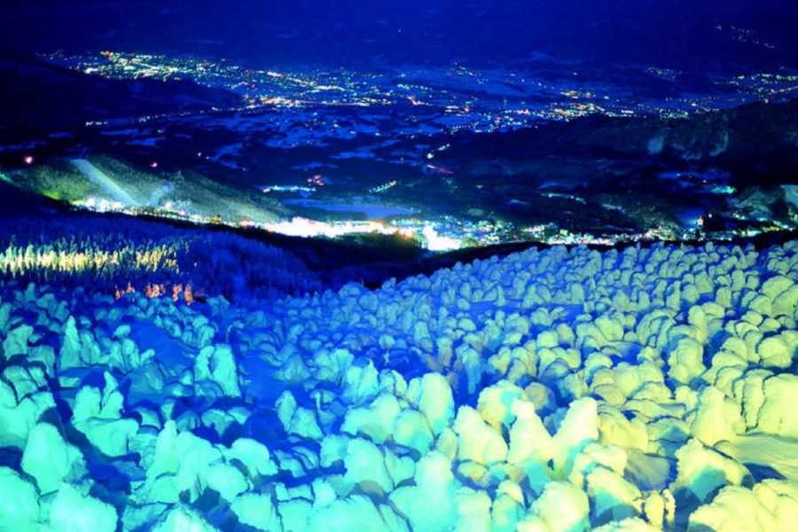 202512121112-6792846282.jpg DM_20251212110918_003.jpg