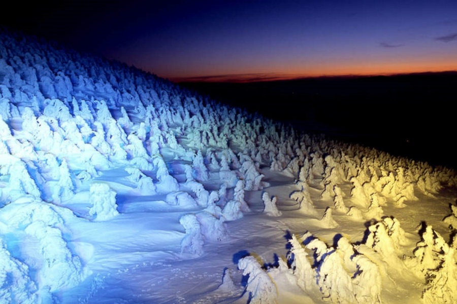 202512121112-8343794677.jpg DM_20251212110918_002.jpg