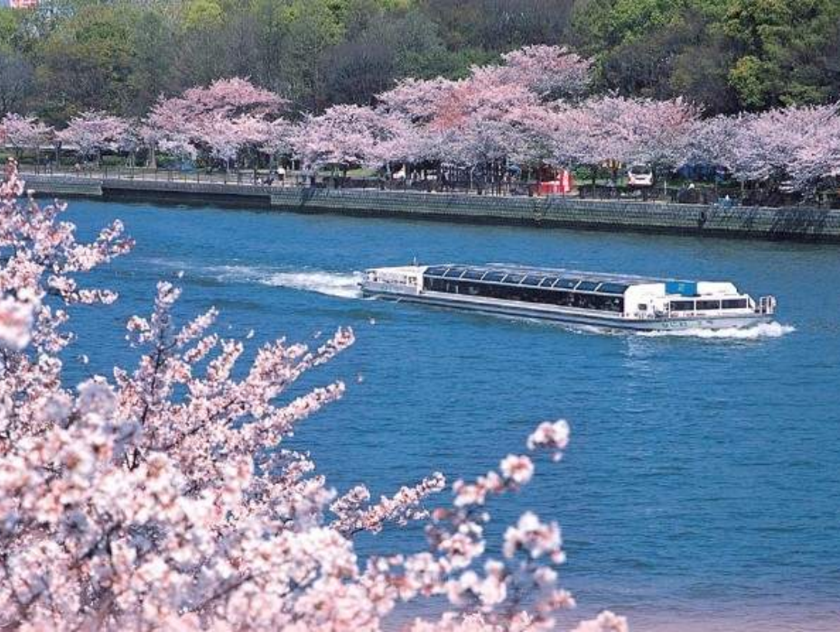 202512121112-8560749714.png 企业微信截图_17655087518020.png