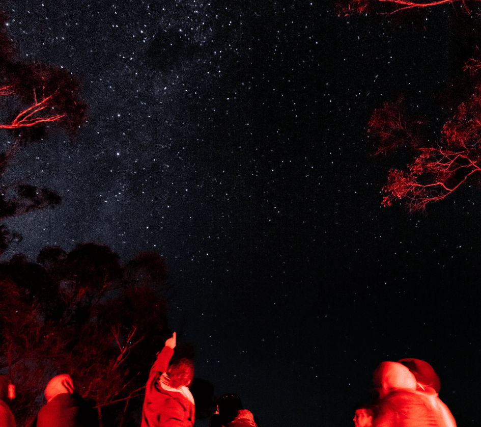 202512121118-9508298888.png image.png