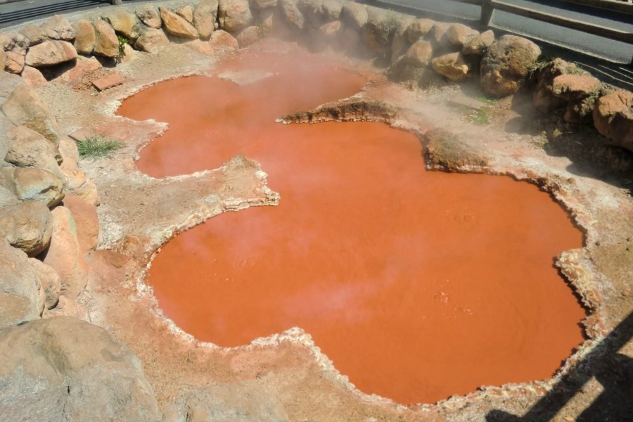 202512121154-1738247260.jpg DM_20251212115047_002.jpg