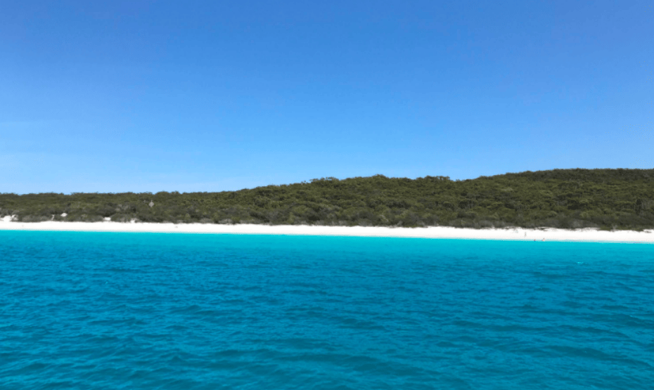 屏幕截图 2025-12-12 133433.png