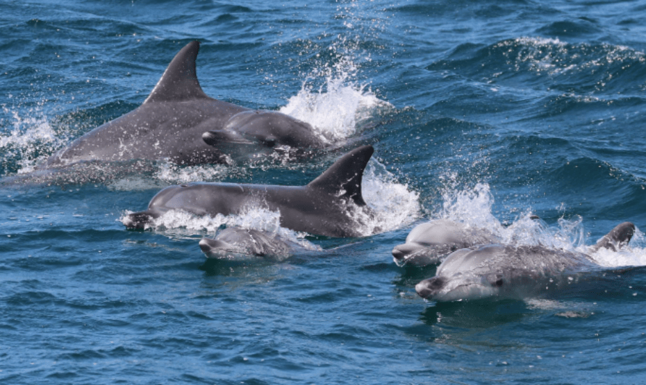 屏幕截图 2025-12-12 133421.png