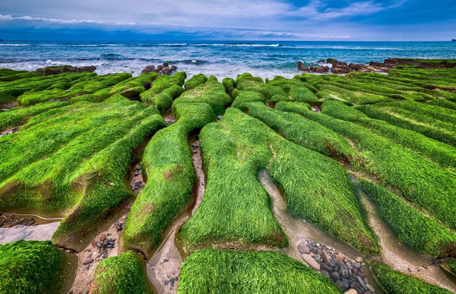 北北基好玩卡交通畅游一日券二日券 (4).jpg
