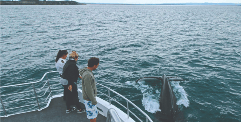 屏幕截图 2025-12-12 135713.png