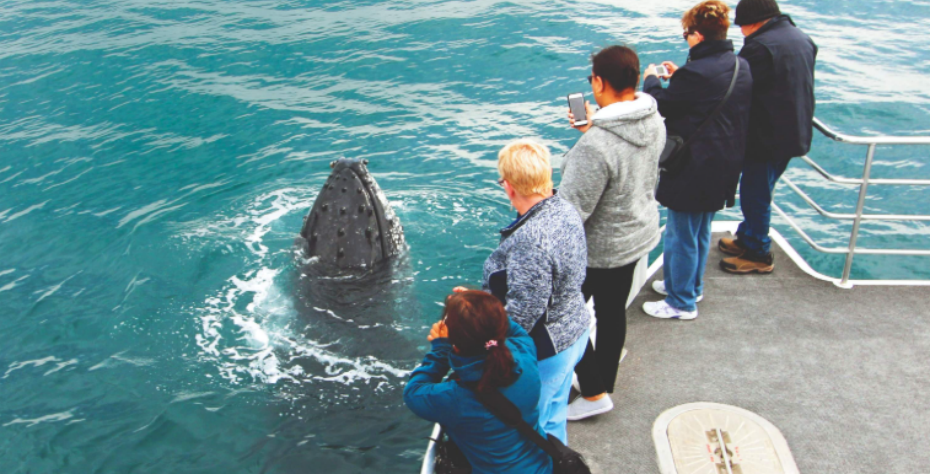 屏幕截图 2025-12-12 135743.png