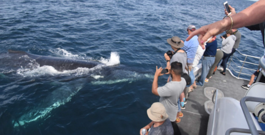 屏幕截图 2025-12-12 135751.png