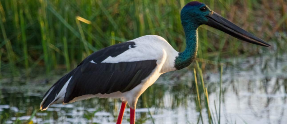 屏幕截图 2025-12-12 143910.png