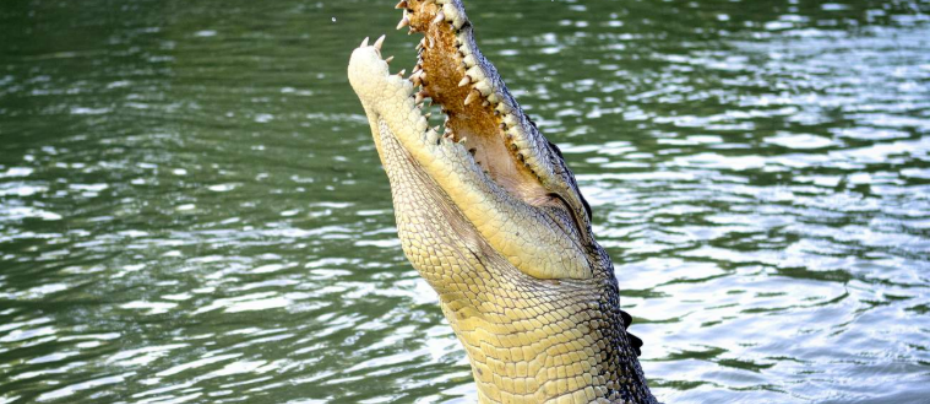 屏幕截图 2025-12-12 143848.png