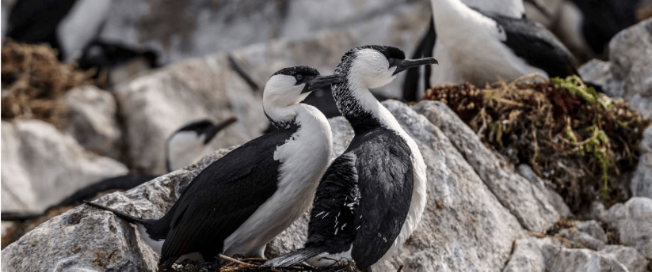 屏幕截图 2025-12-12 151422.png