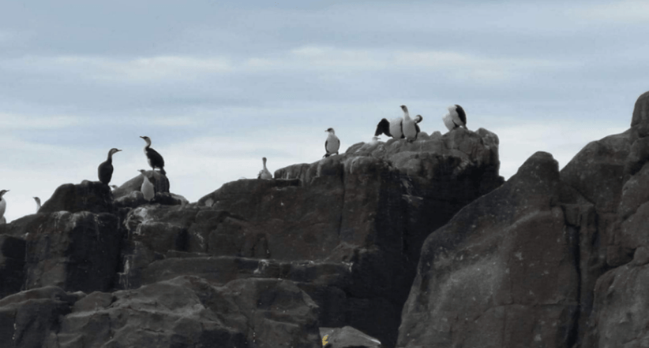 屏幕截图 2025-12-12 152643.png