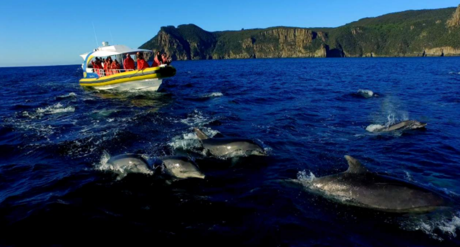 屏幕截图 2025-12-12 152555.png