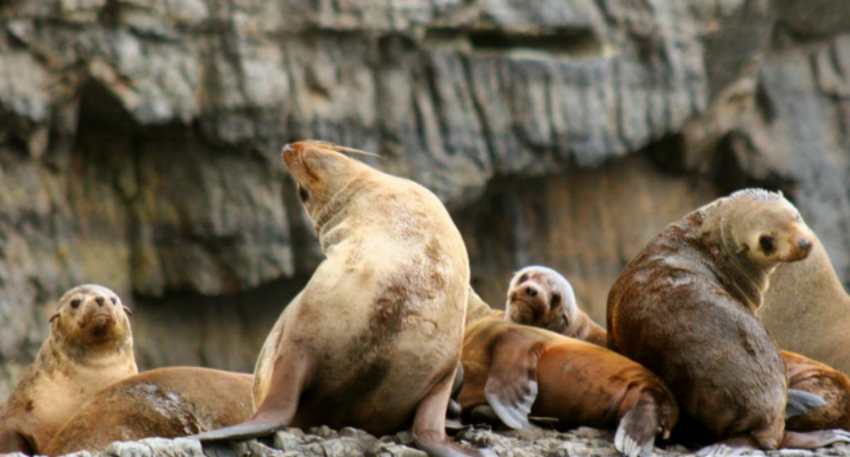 屏幕截图 2025-12-12 152619.png