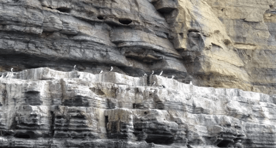 屏幕截图 2025-12-12 152701.png