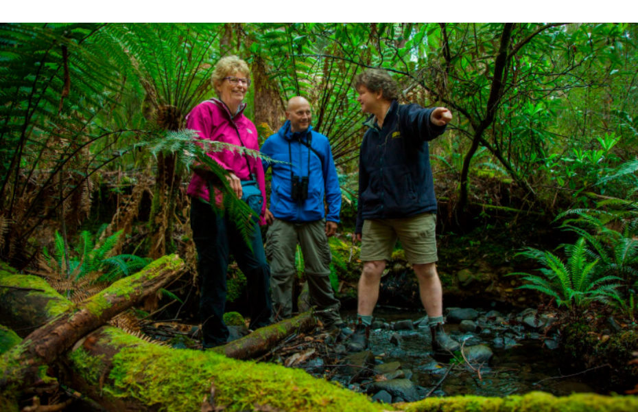 屏幕截图 2025-12-12 154504.png