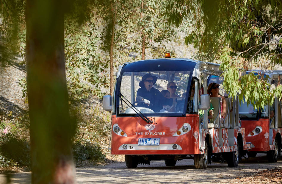 202512121608-2698612190.png image.png