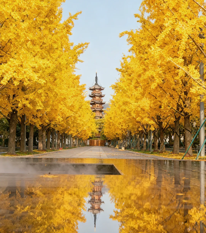 屏幕截图 2025-12-12 160727.png