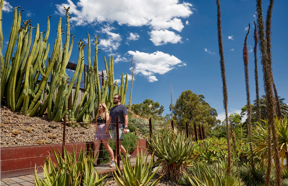 202512121609-8468380618.png image.png