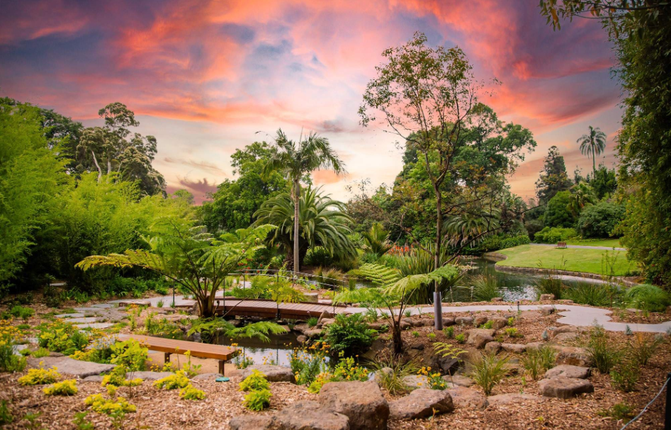 202512121609-8587327504.png image.png