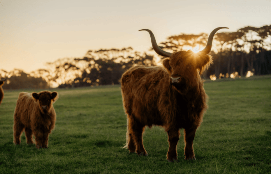 202512131020-4871168951.png 屏幕截图 2025-12-13 101407.png