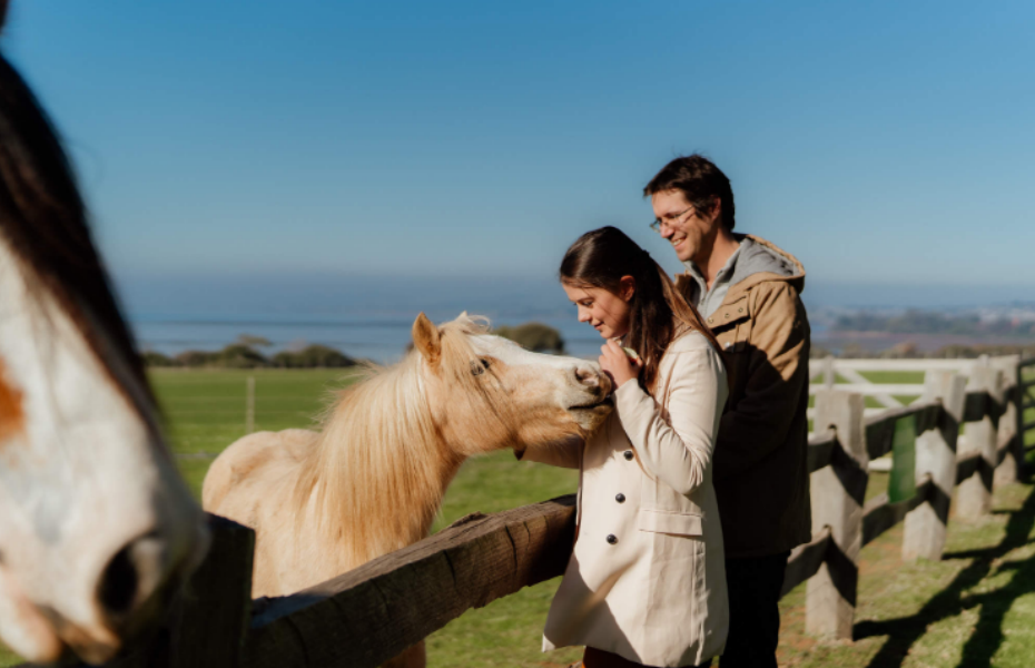 202512131021-6800634192.png 屏幕截图 2025-12-13 101607.png