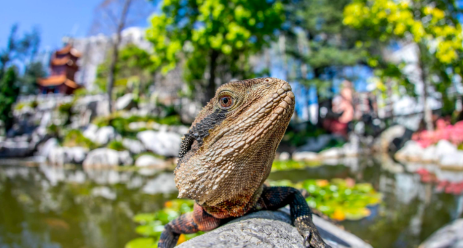 屏幕截图 2025-12-13 105029.png