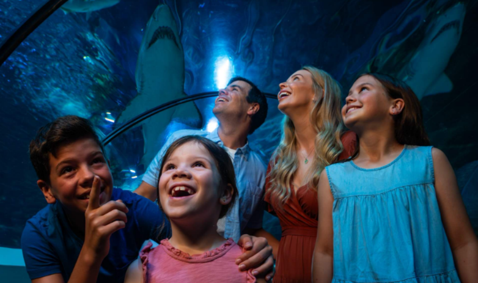 屏幕截图 2025-12-13 112427.png